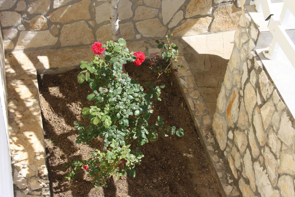 Apartamento Kuca Za Odmor Laura Ražanac Exterior foto
